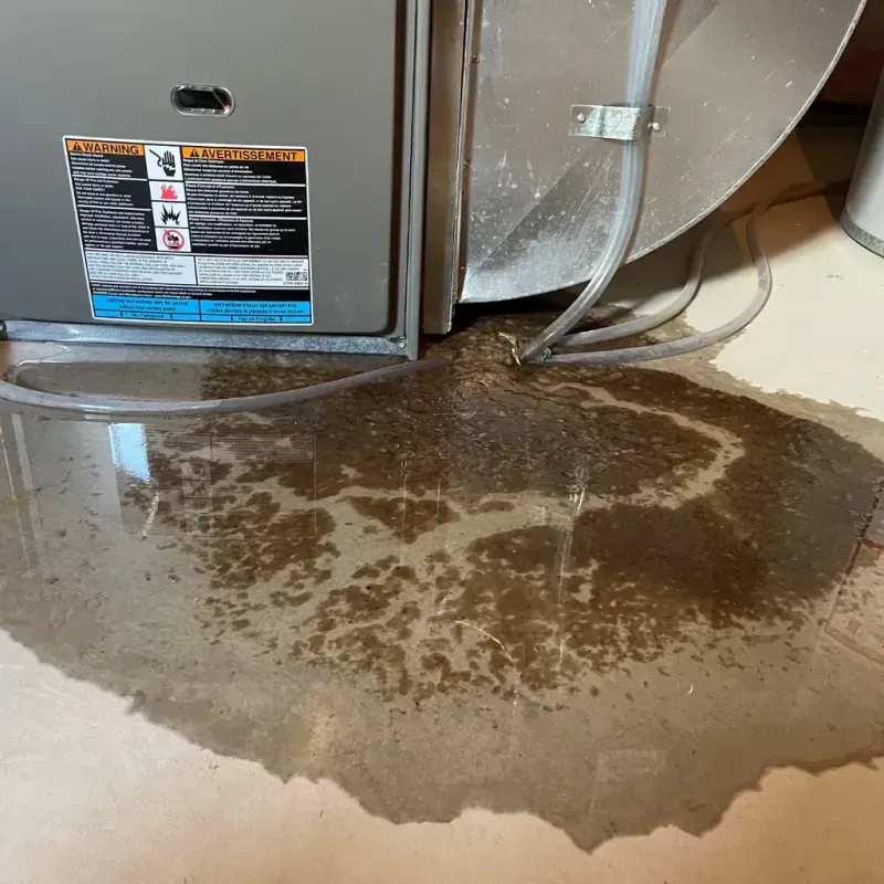 Appliance Leak Cleanup in Northampton County, NC